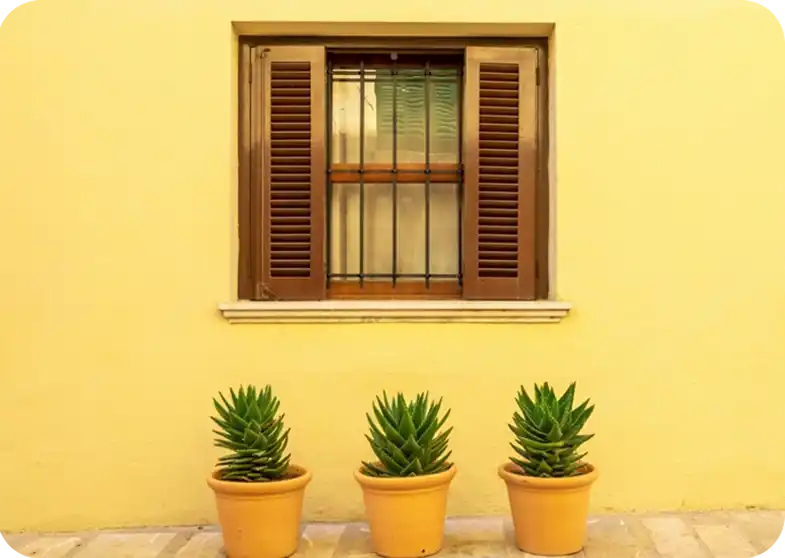 Pinturas y Esmaltes Exteriores